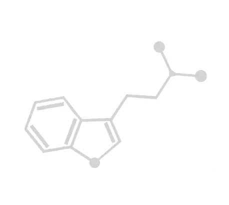 DMT Chem